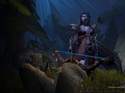 Night Elf